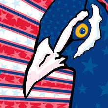 Stars Spangled Peacock