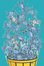 Bushel of Crabs