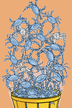 Bushel of Crabs