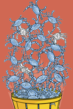Bushel of Crabs