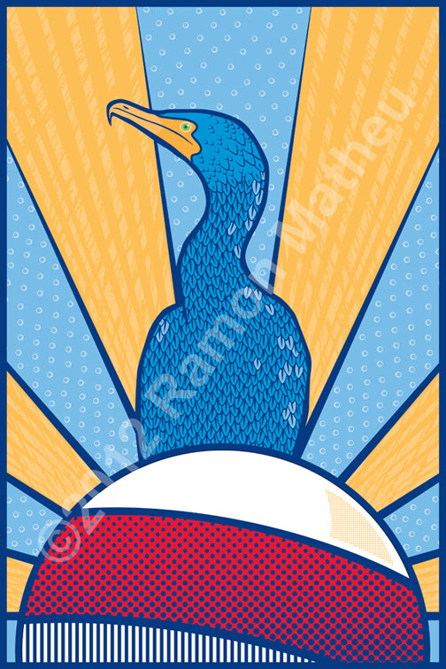 Cormoront on Mooring