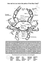 Oscar the Oyster Activity Book