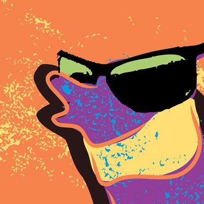 Sunseekers