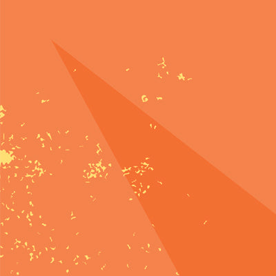 Sunseekers