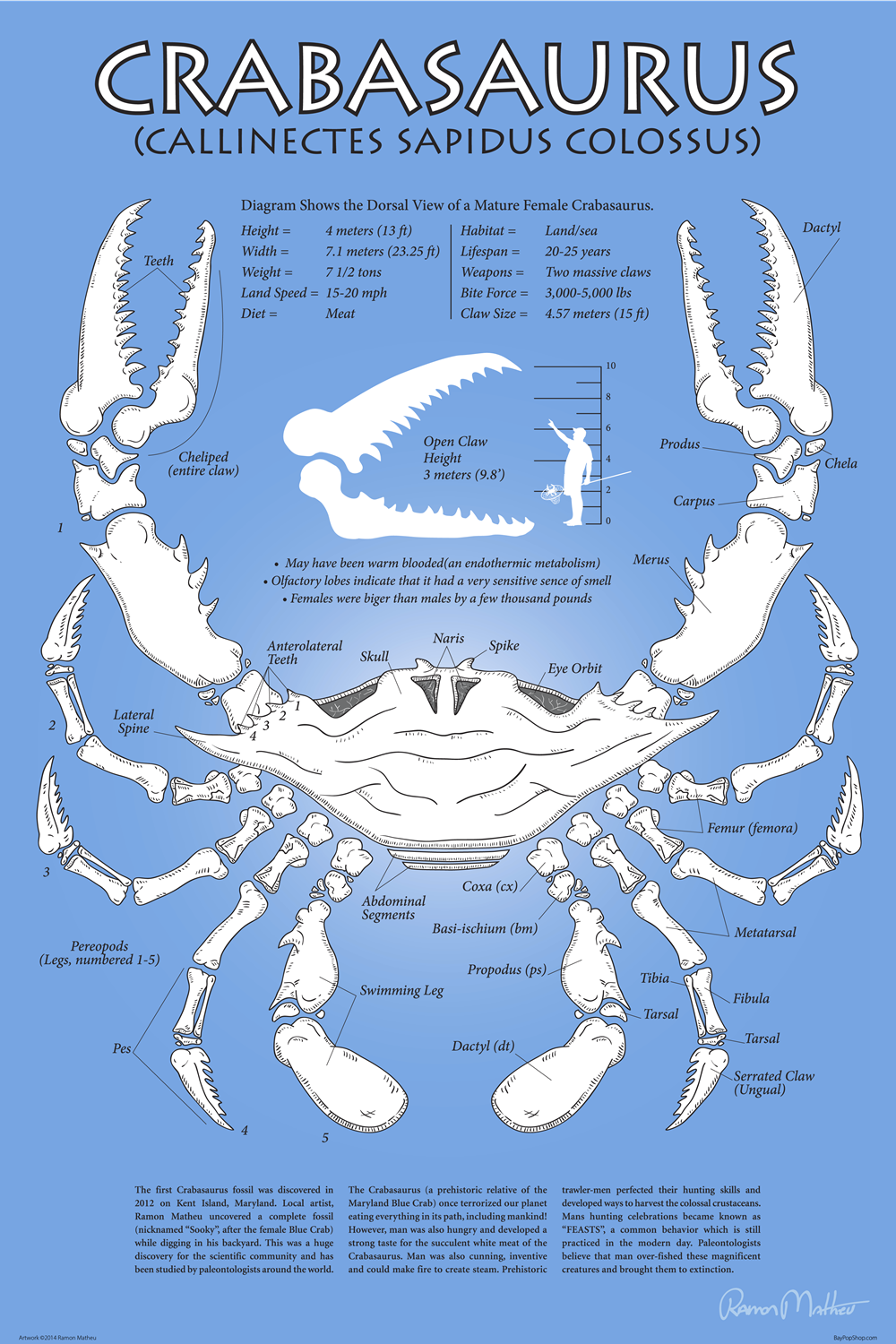 "Crabasaurus" Open Edition Art Print by Ramon Matheu
