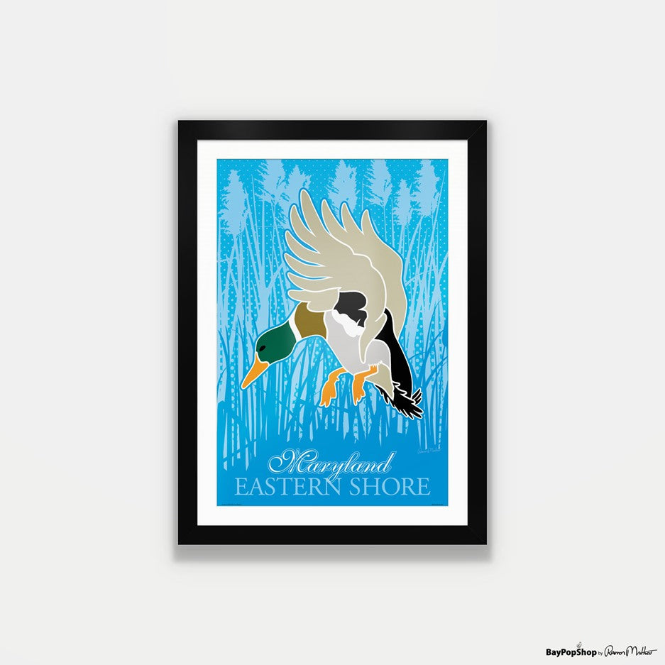 "Eastern Shore Ducks" Open Edition Art Print by Ramon Matheu