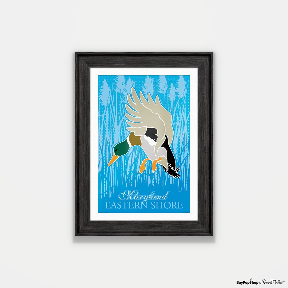 "Eastern Shore Ducks" Open Edition Art Print by Ramon Matheu