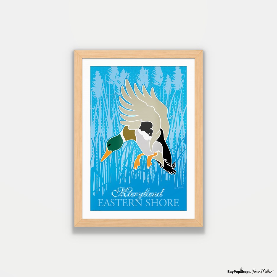 "Eastern Shore Ducks" Open Edition Art Print by Ramon Matheu