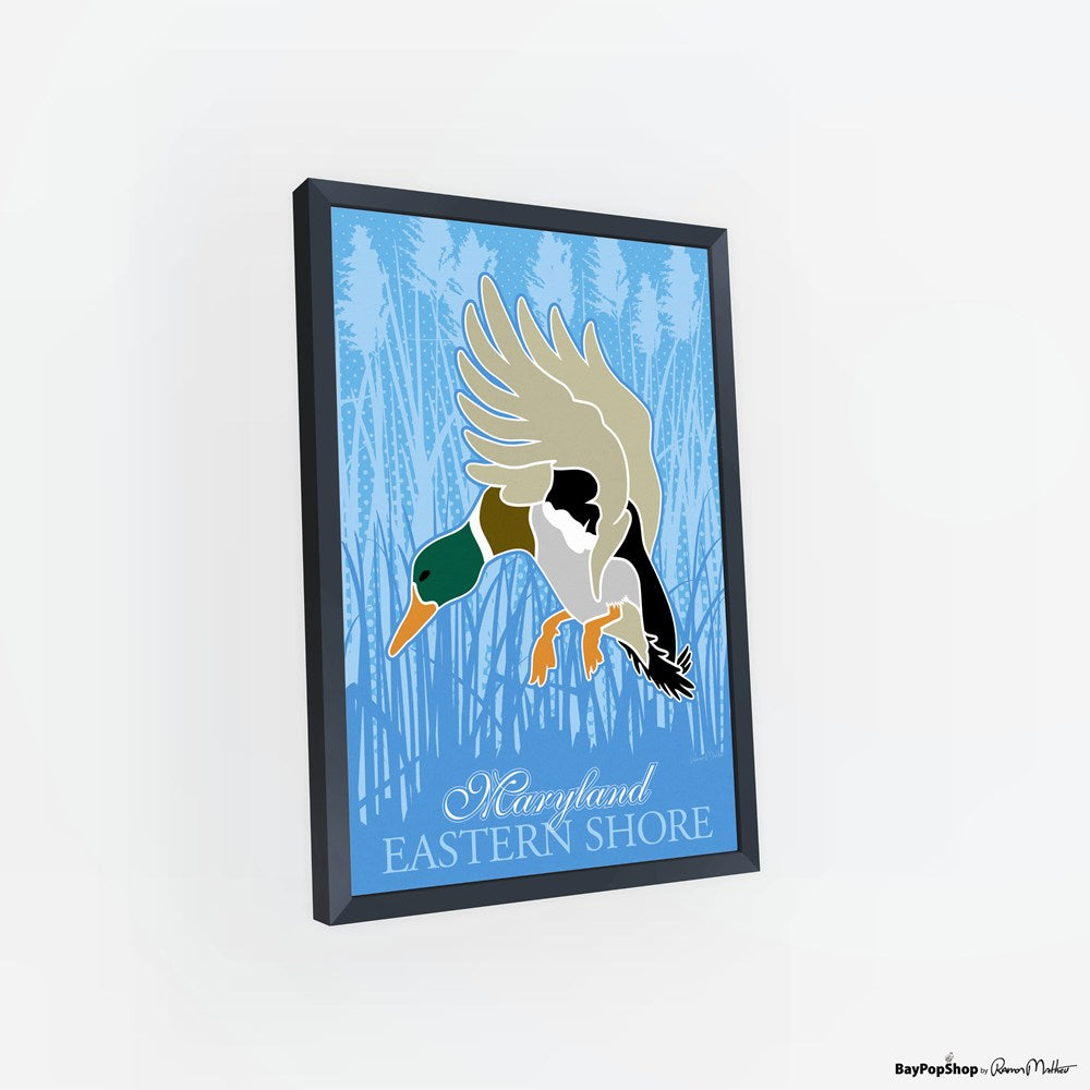 "Eastern Shore Ducks" Open Edition Art Print by Ramon Matheu