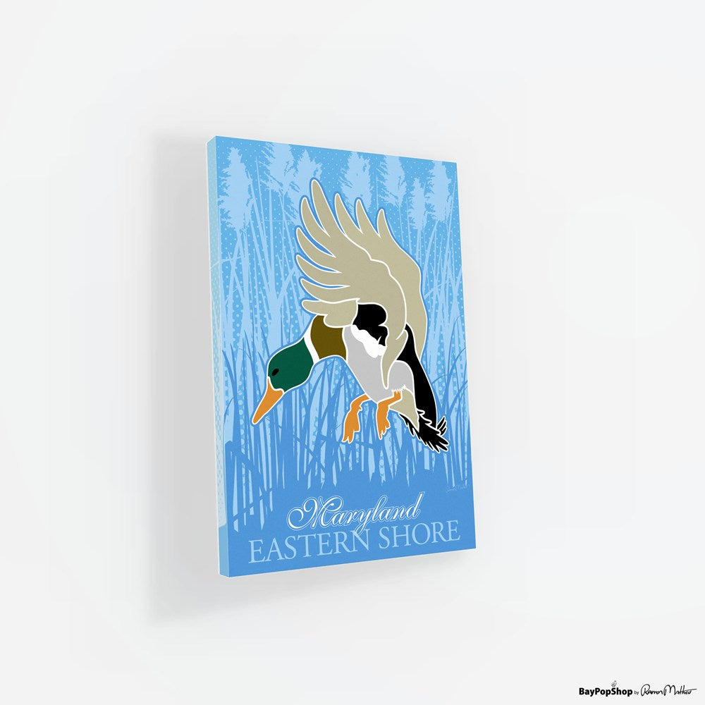 "Eastern Shore Ducks" Open Edition Art Print by Ramon Matheu