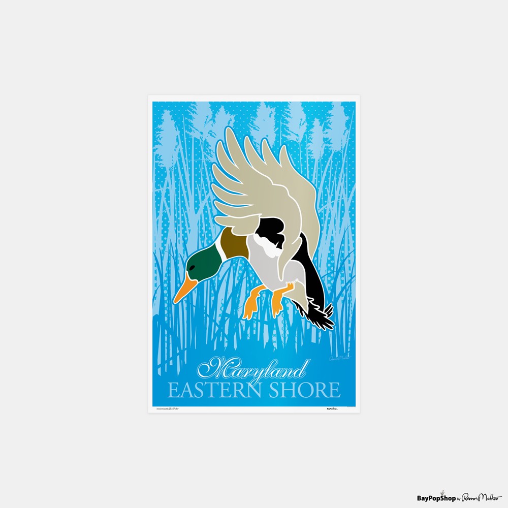 "Eastern Shore Ducks" Open Edition Art Print by Ramon Matheu