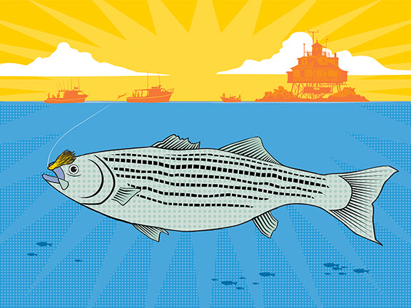Striper Town