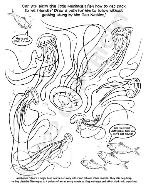 Oscar the Oyster Activity Book